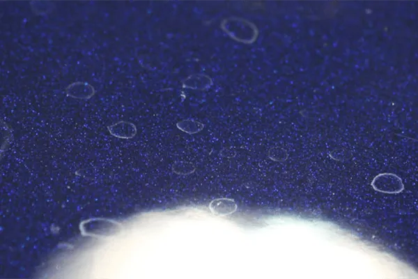 Hard water spot etching on blue metallic paint