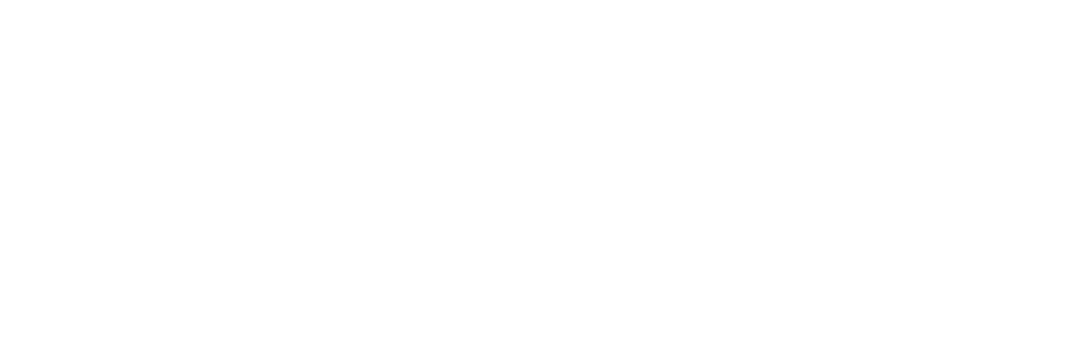STEK DYNOshield